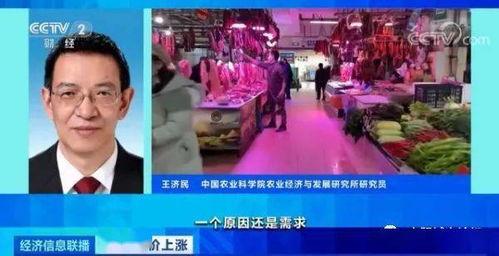 青岛爆料羊贵妃视频下载,揭秘网红羊贵妃的爆红瞬间